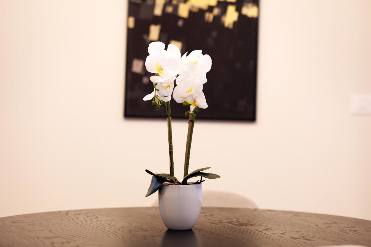 Mini Penthouse Near The Beach ネタニア エクステリア 写真
