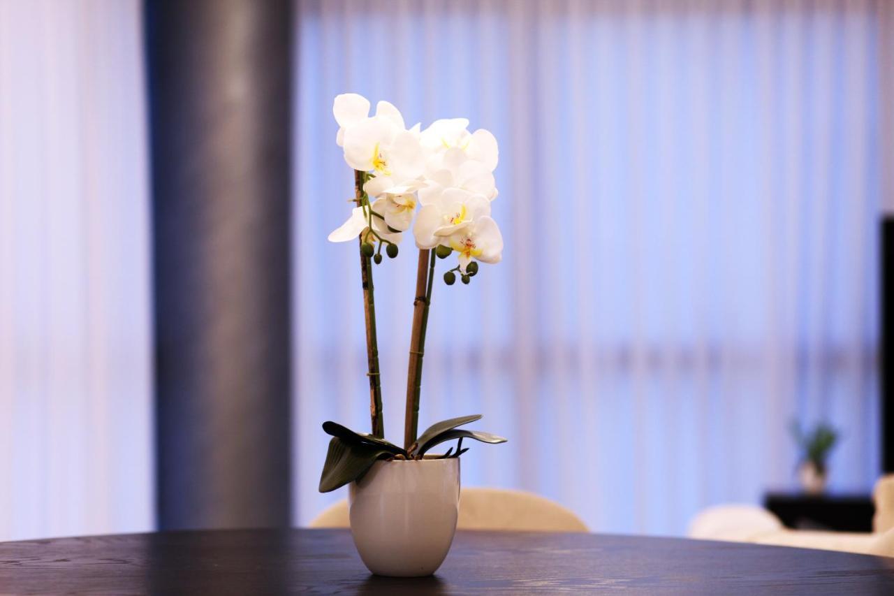 Mini Penthouse Near The Beach ネタニア エクステリア 写真
